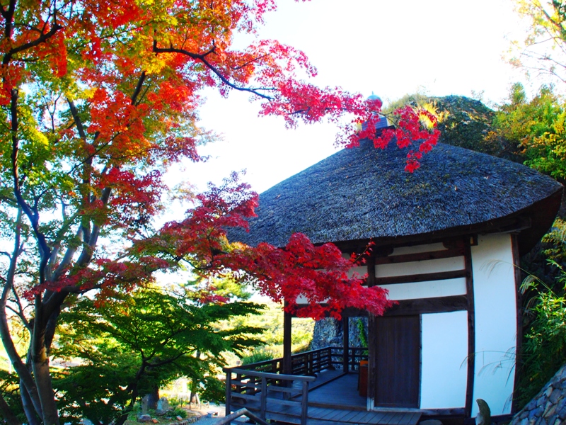 信州千曲市姨捨田毎の月長楽寺紅葉