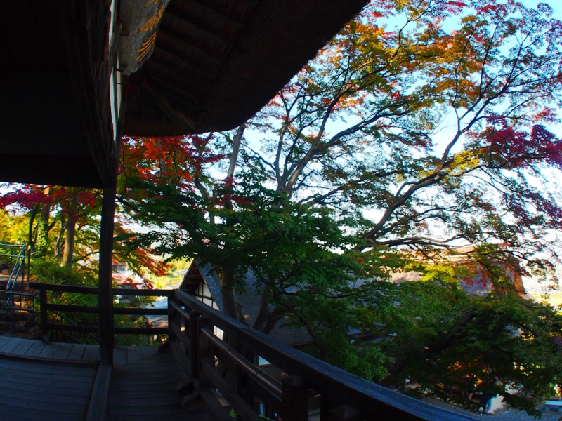 信州千曲市姨捨田毎の月長楽寺紅葉