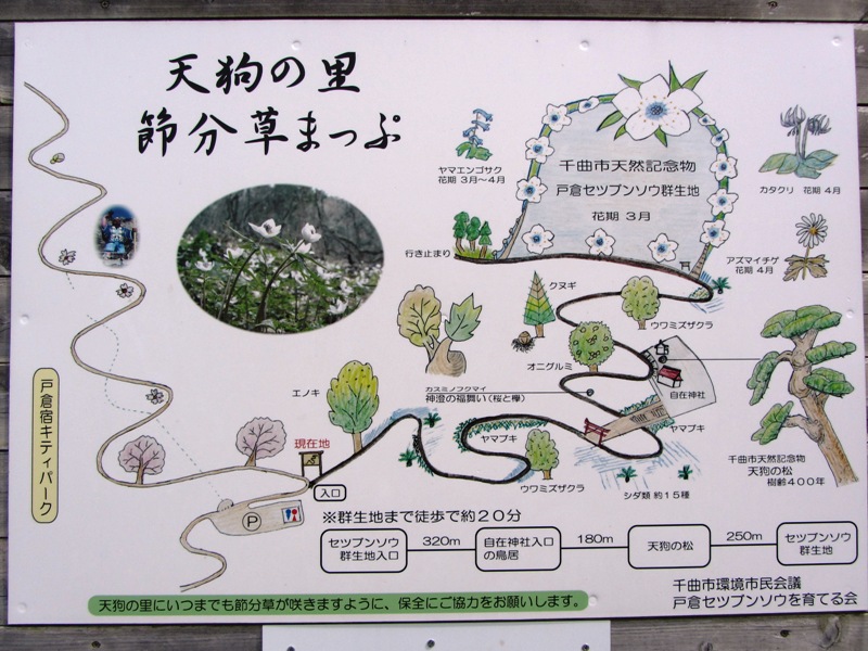 千曲市節分草セツブン草戸倉宿キティパーク