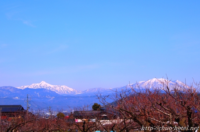 千曲市あんずの里早春