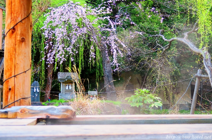 戸倉上山田温泉足湯しだれ桜水と緑と潤いのある公園