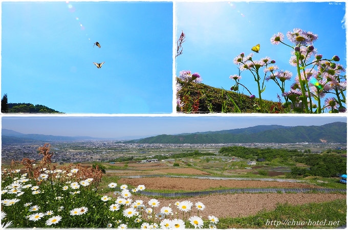 千曲市姨捨の棚田水入れお田植え