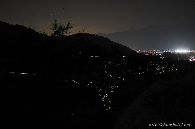 千曲市ホタル観賞上山田協和地区