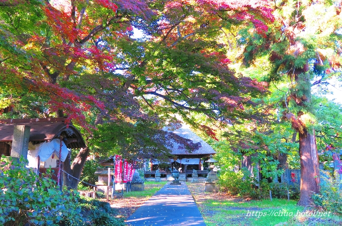 長野県千曲市上山田智識寺秋紅葉