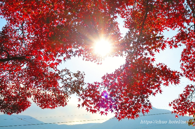 長野県千曲市上山田智識寺秋紅葉