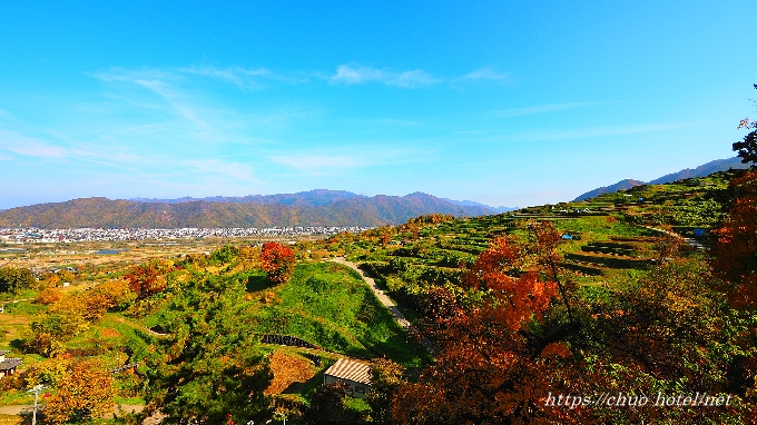 長野県千曲市姨捨の棚田秋紅葉