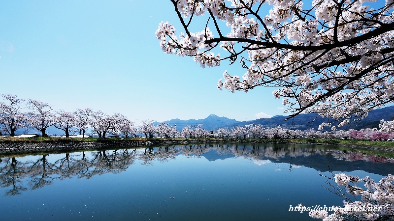 千曲市桜の名所治田公園治田神社冠着山