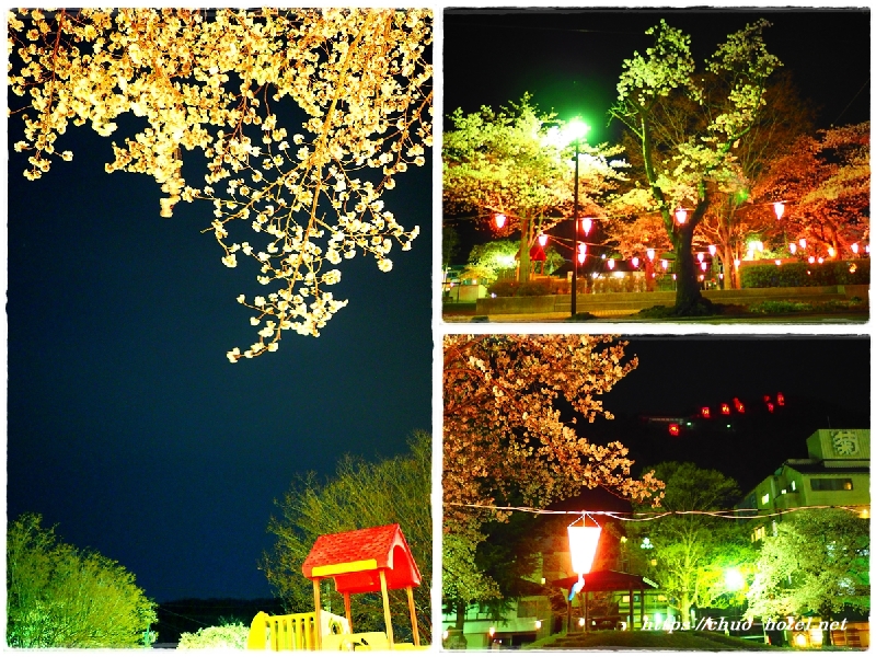 桜満開戸倉上山田温泉中央公園夜桜